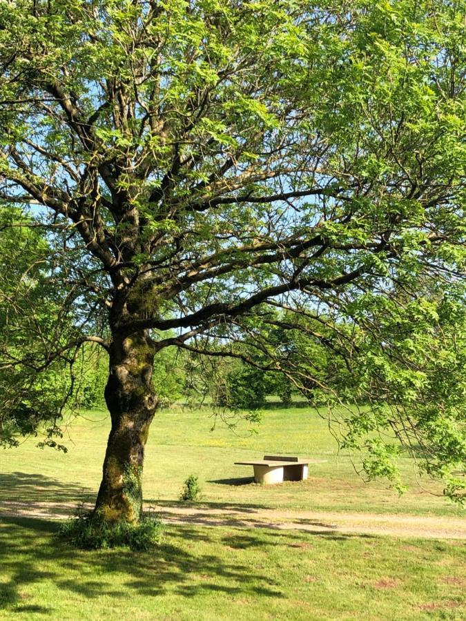 Domaine De Tapies 2 Gites Jusqu A 19 Personnes Cornus Dış mekan fotoğraf
